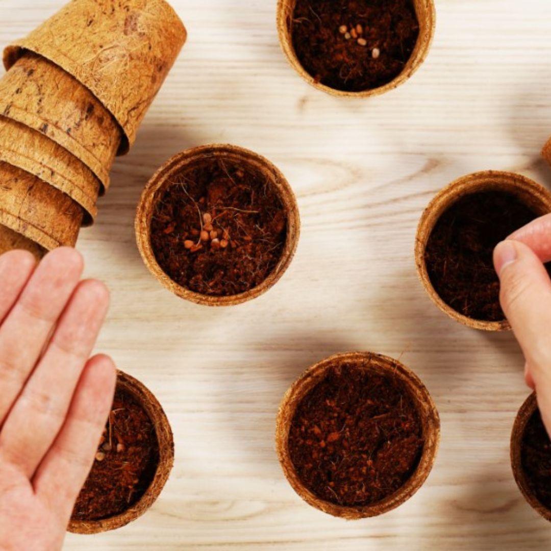 Round Coconut Coir Pot – Plant Best – 2.5″, 12 Pack